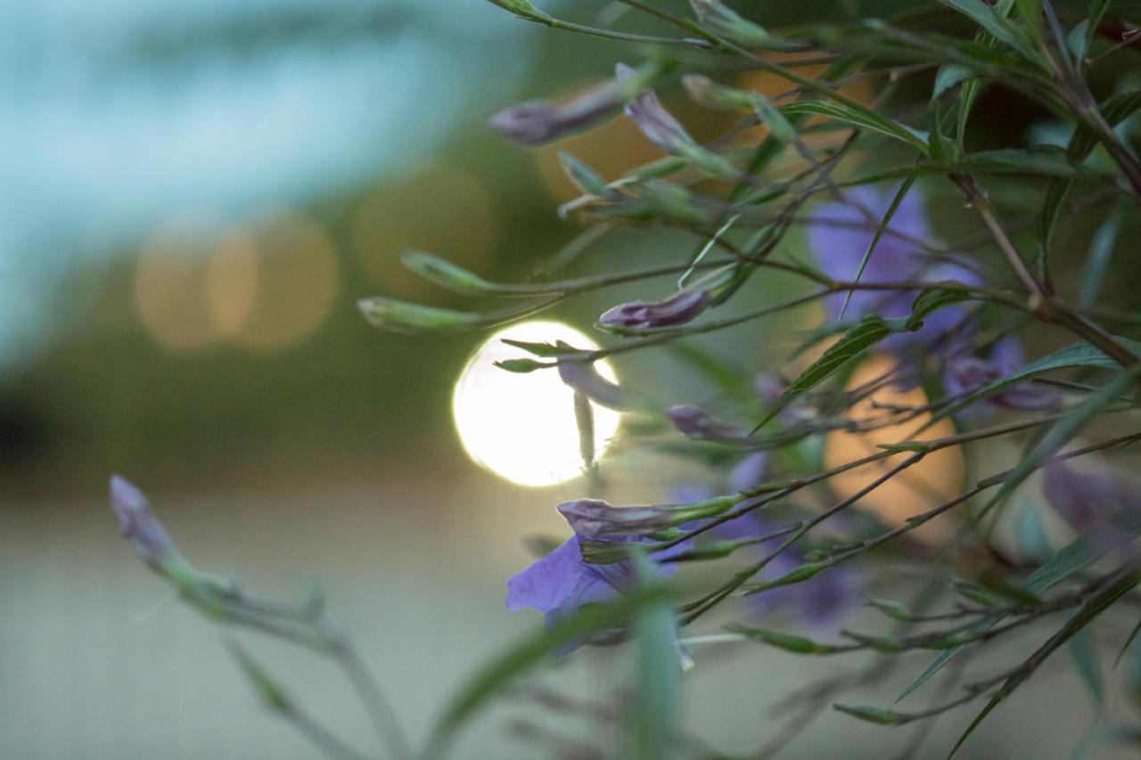 Corinth Iris Garden Retreat 아파트 호텔 외부 사진